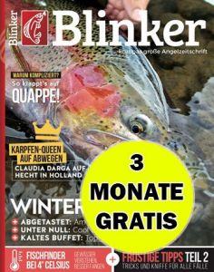 Blinker Magazin Abo