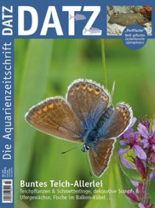 Datz im Abo