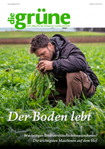 Die grüne Magazin Abo