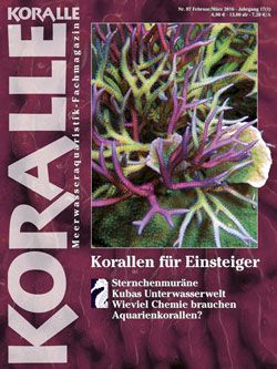 Koralle im Abo