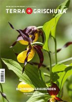 Terra Grischuna Zeitschrift